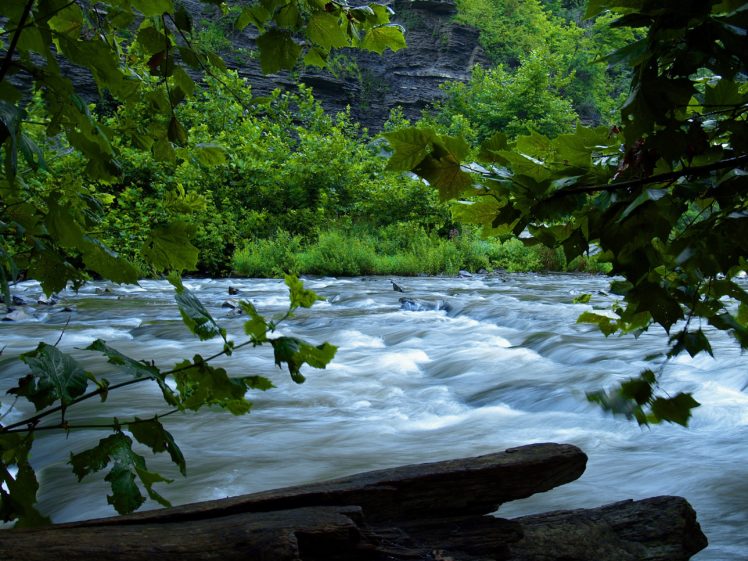 river, Flowing, Trees, Nature HD Wallpaper Desktop Background