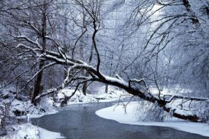 swnow, Winter, River, Trees, Landscape