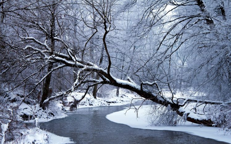 swnow, Winter, River, Trees, Landscape HD Wallpaper Desktop Background