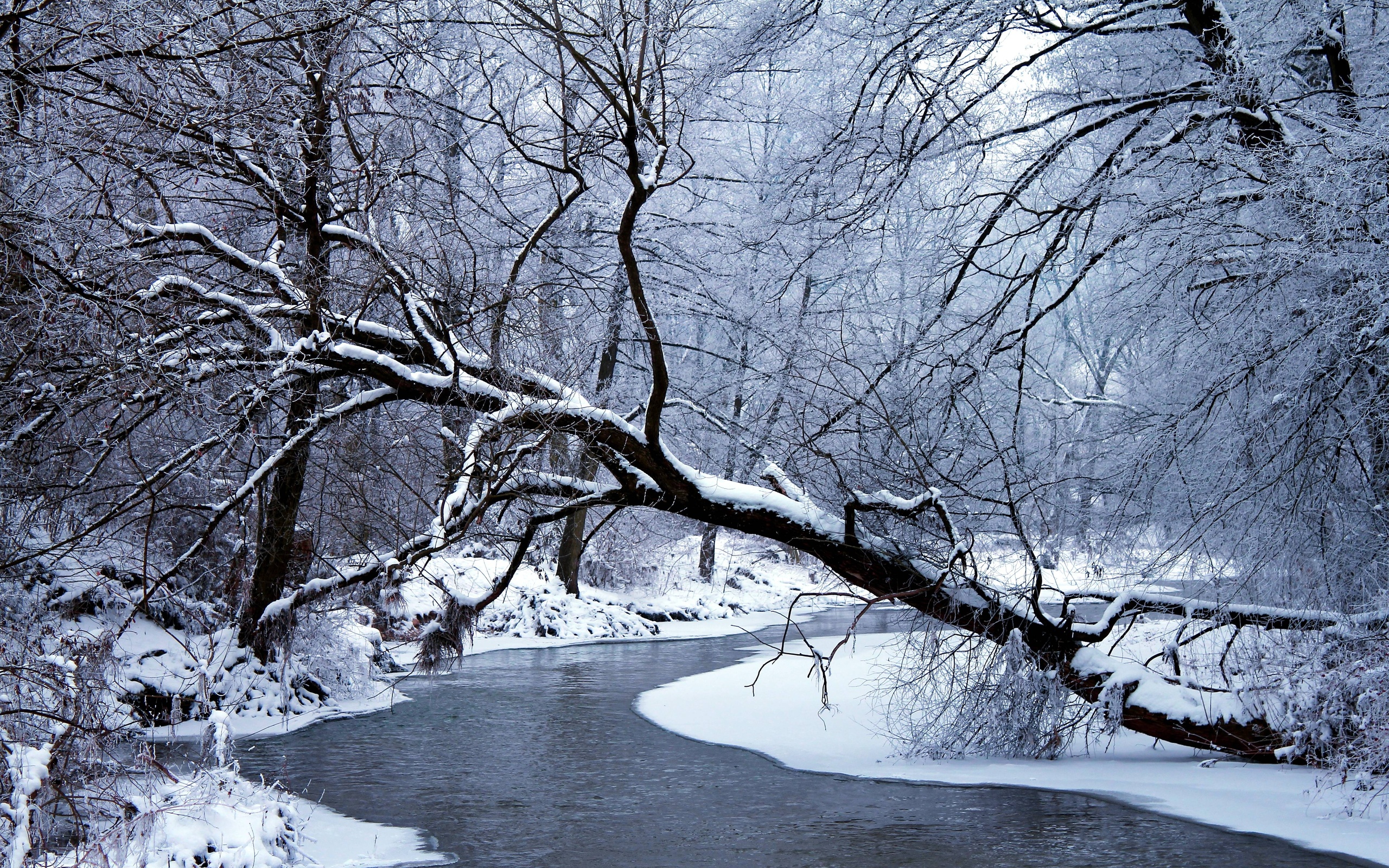 swnow, Winter, River, Trees, Landscape Wallpaper