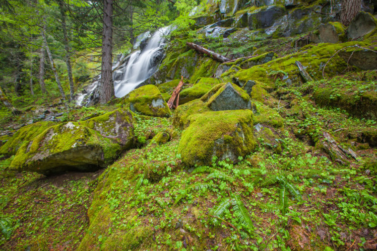 waterfall, Forest, Rocks, Nature HD Wallpaper Desktop Background