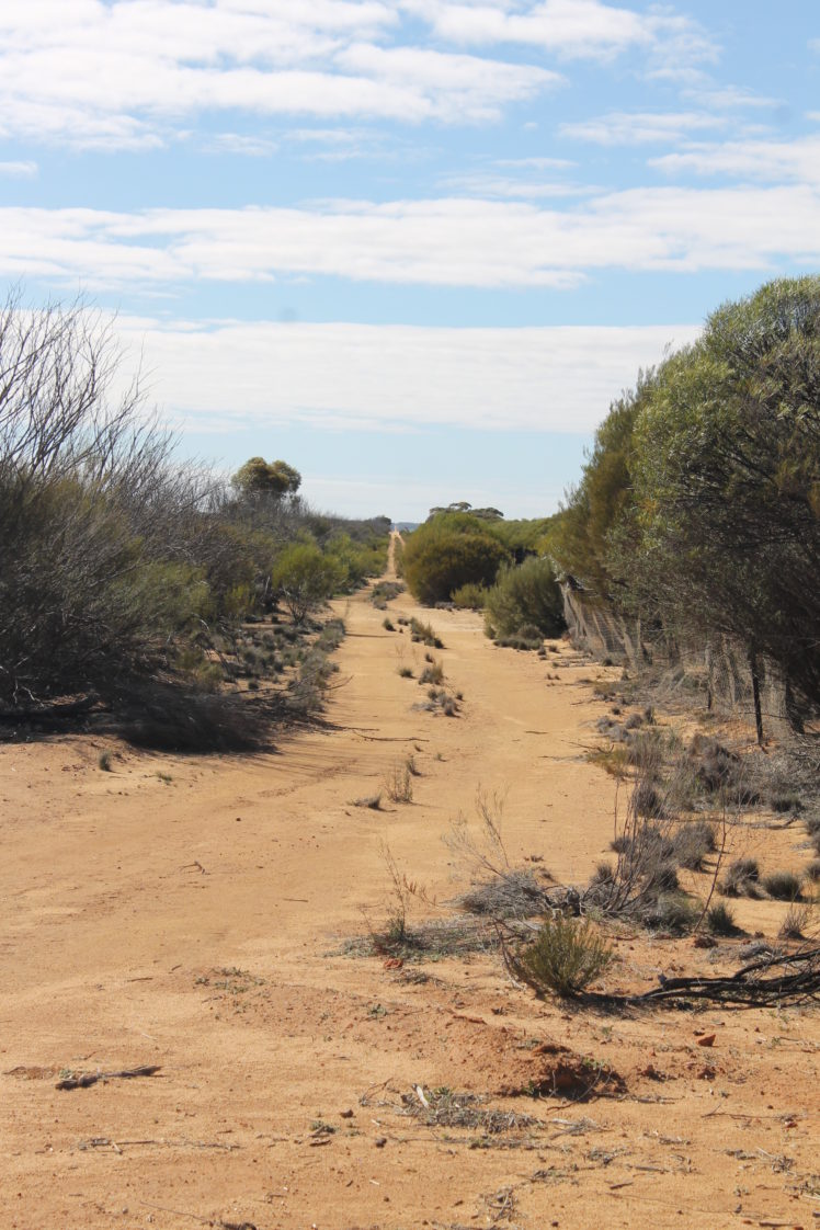 fenceline HD Wallpaper Desktop Background