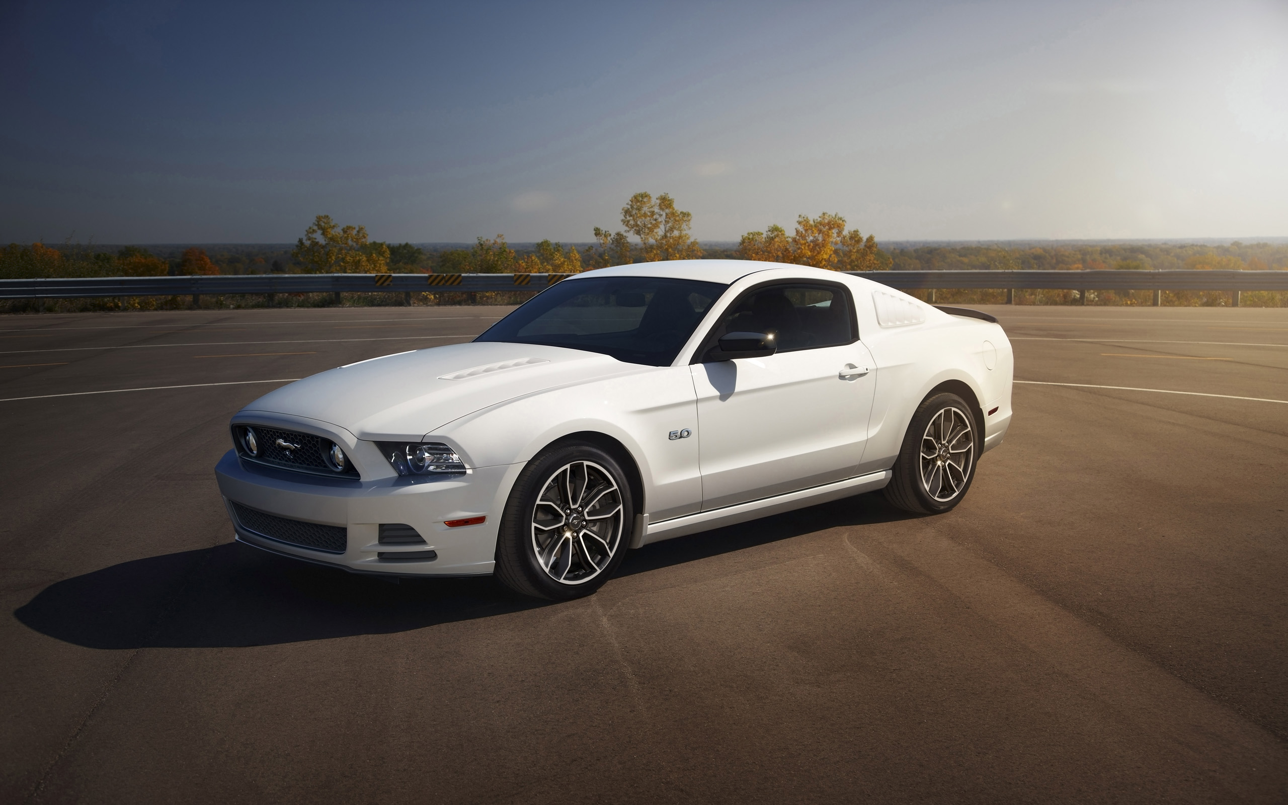 2014, Ford, Mustang, Muscle Wallpaper