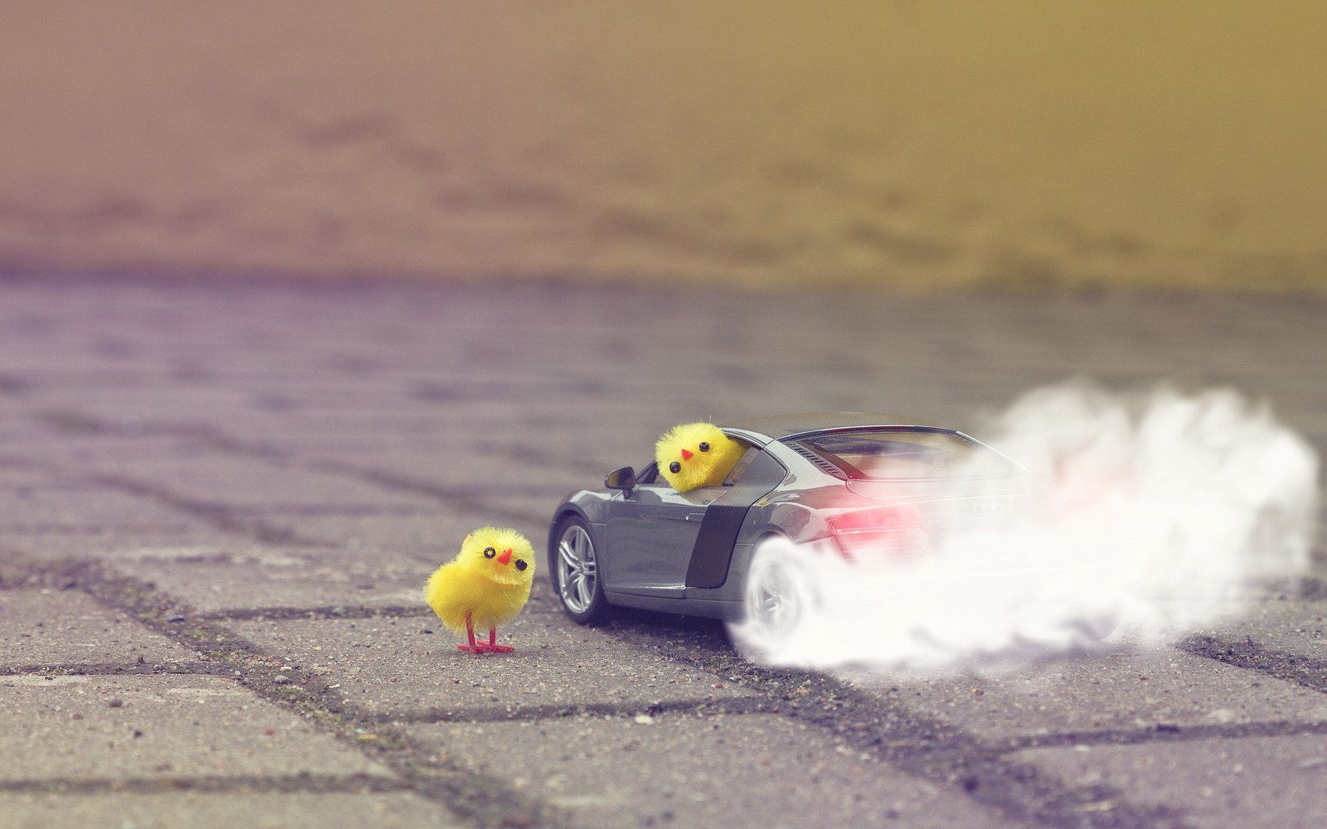 yellow, Smoke, Audi, Chickens, Audi, R8, Burn, Fun Wallpaper
