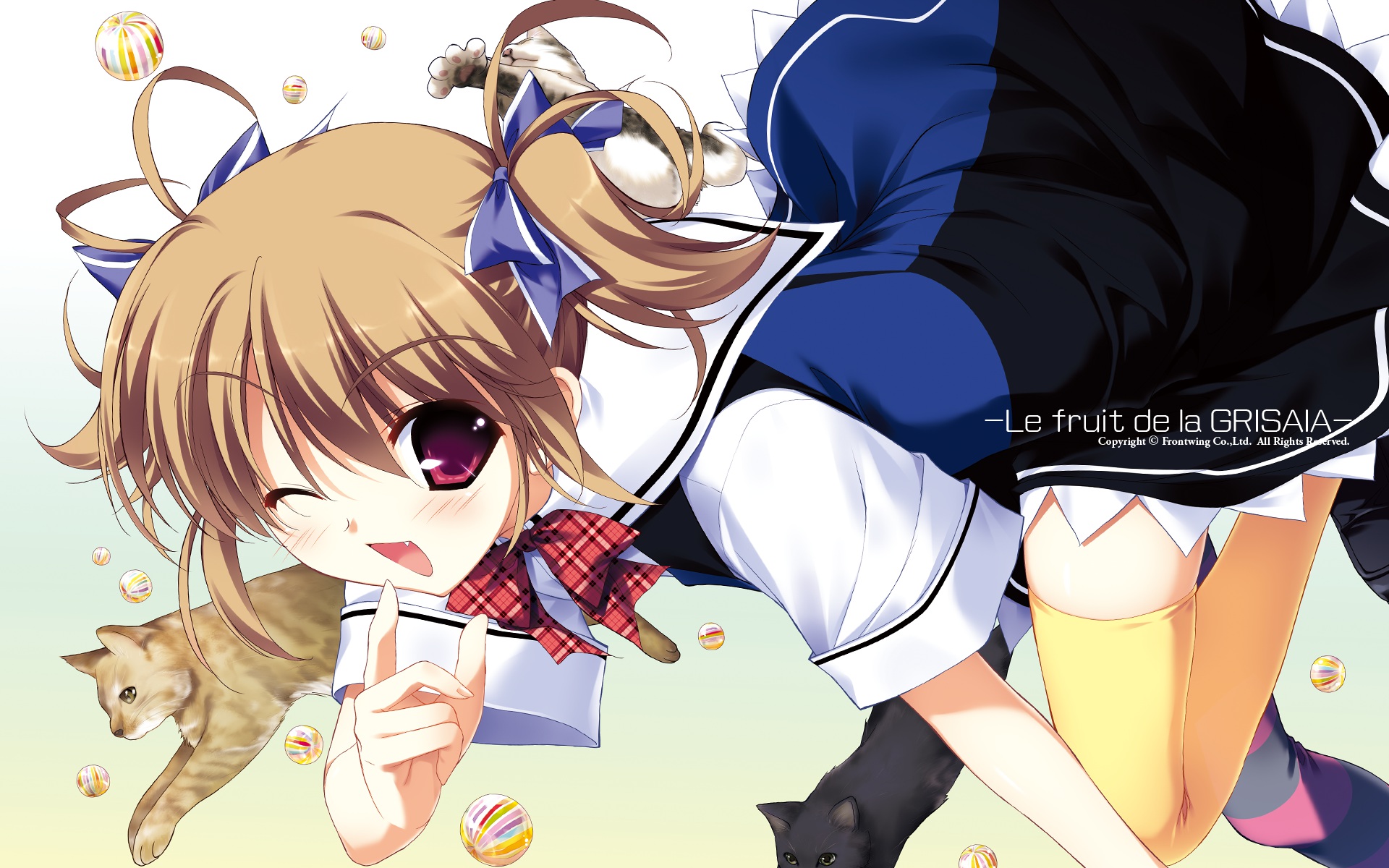 grisaia, No, Kajitsu, Animal, Cat, Fang, Frontwing, Fumio, Irisu, Makina, Seifuku, Wink Wallpaper