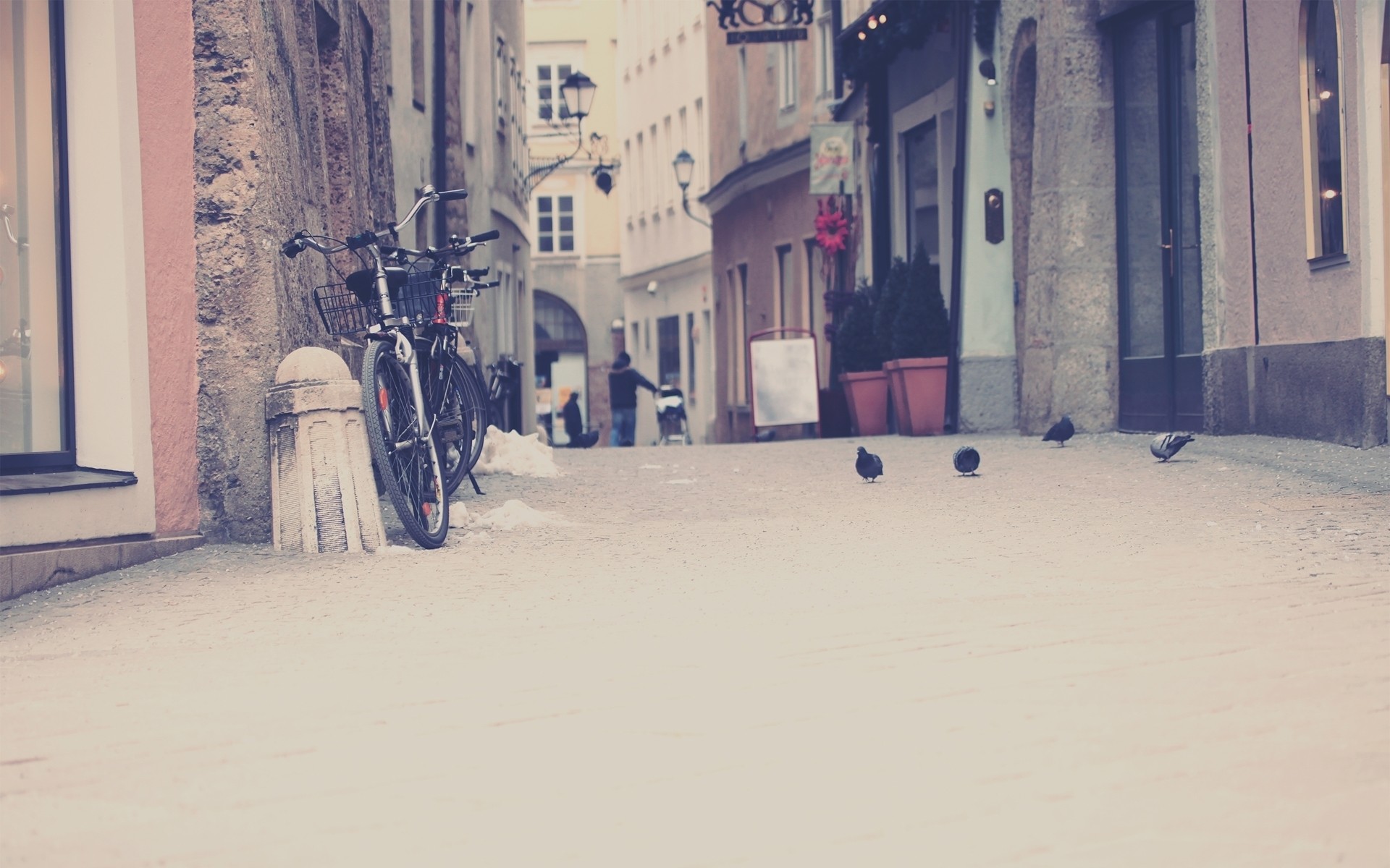 streets, Bicycles, Town, Pigeons Wallpaper