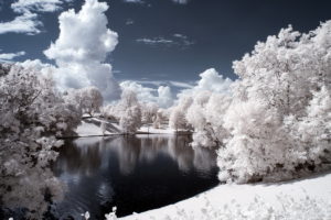 landscape, Trees, And, Lake, Infrared