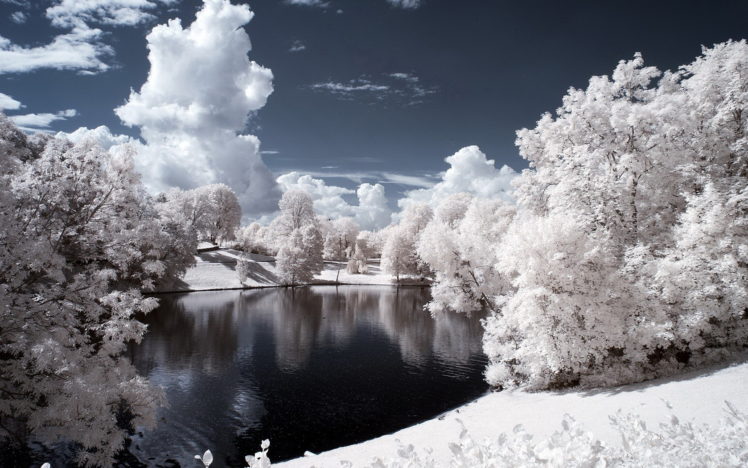 landscape, Trees, And, Lake, Infrared HD Wallpaper Desktop Background