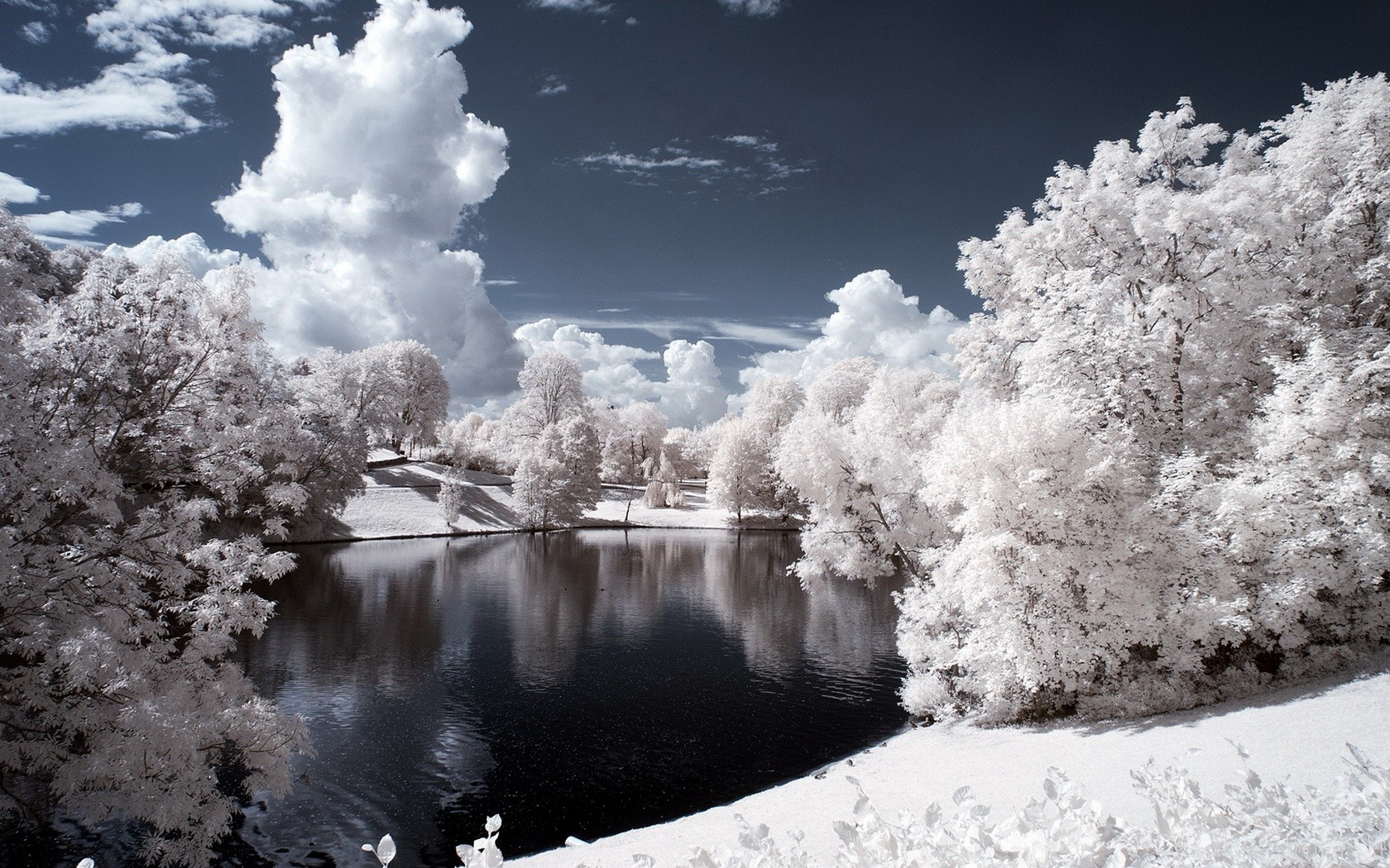landscape, Trees, And, Lake, Infrared Wallpaper