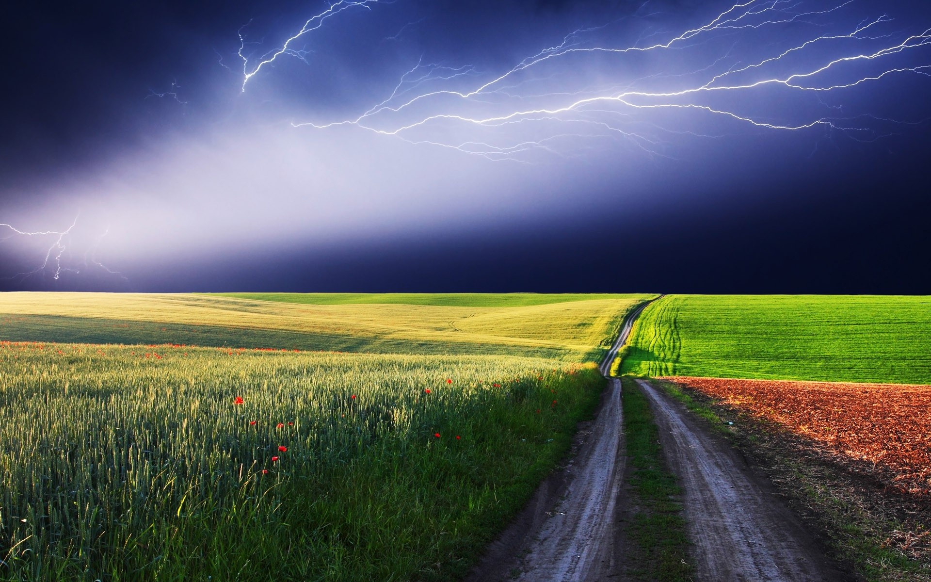 clouds, Landscapes, Nature, Fields, Roads, Lightning, Red, Flowers Wallpaper
