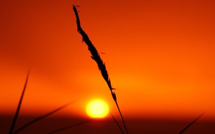 sunset, Orange HD Wallpaper Desktop Background
