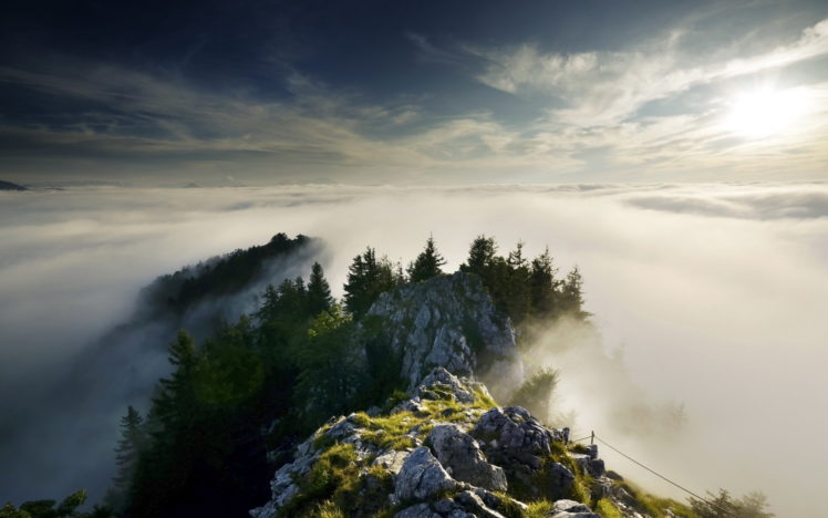 mountains, Fog, Trees HD Wallpaper Desktop Background