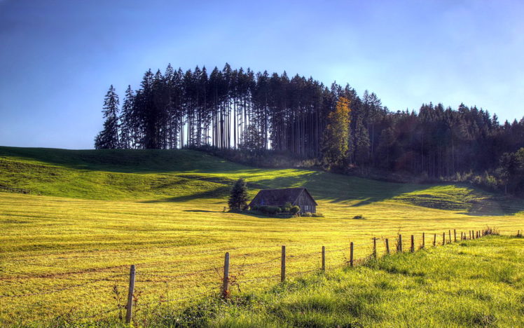 landscape, Grass, Hill, House, Trees HD Wallpaper Desktop Background