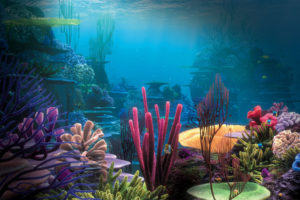 sea, Underwater, Coral, Ocean, Fantasy