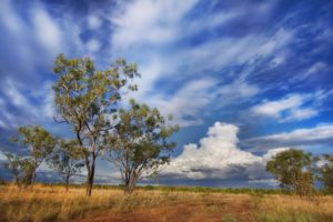 australia, Sky, Clouds, Tree