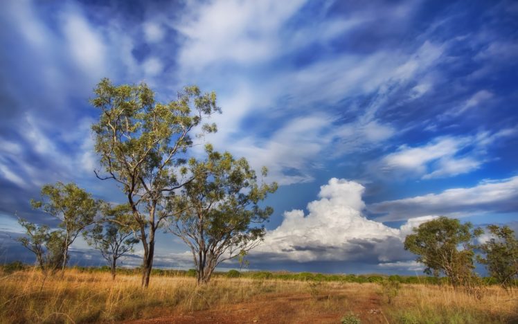 australia, Sky, Clouds, Tree HD Wallpaper Desktop Background