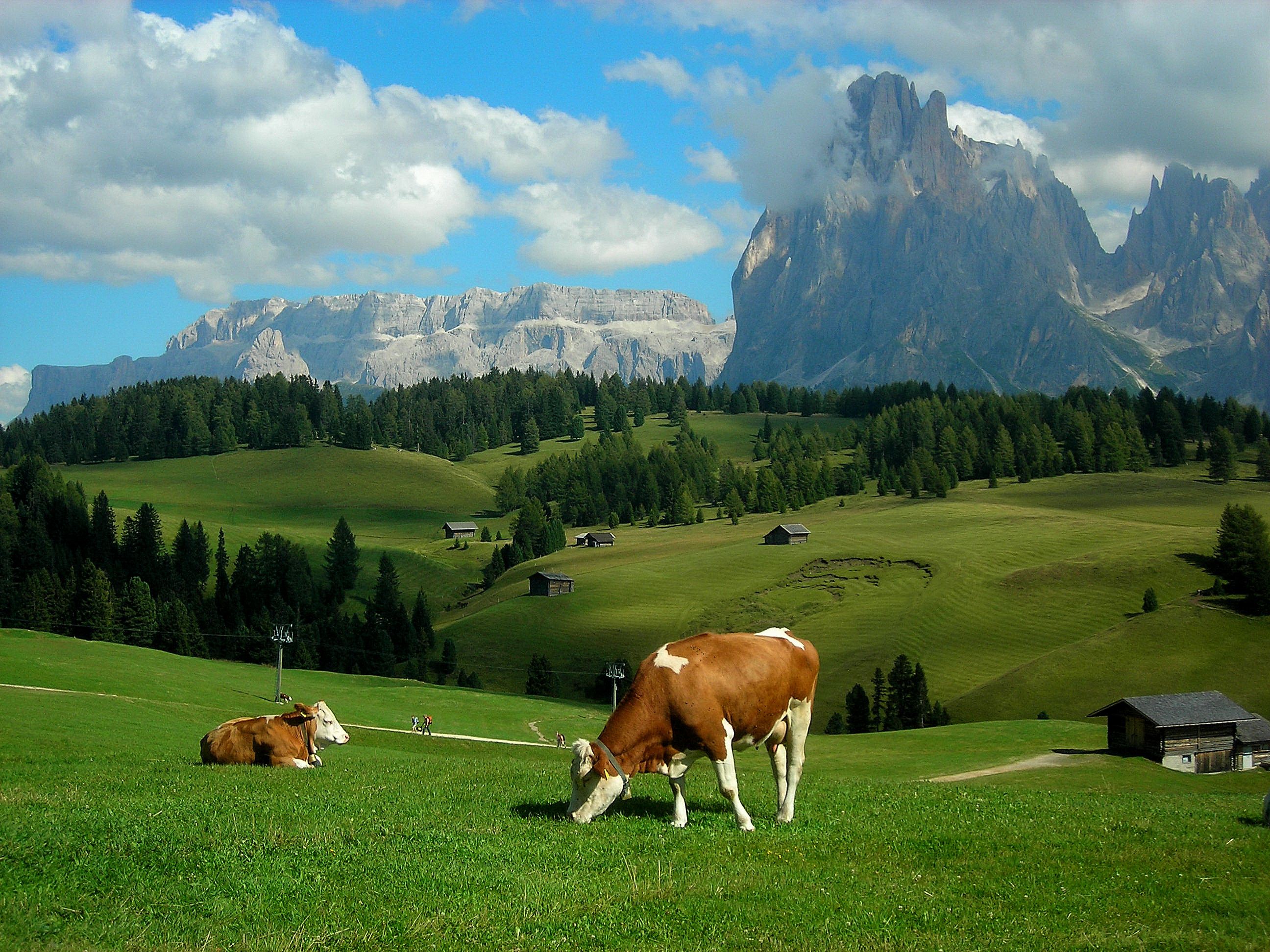 alps, Meadows, Hills, Mountains, Cows, Landscape, Rustic, Farm Wallpaper