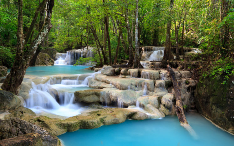 forest, Waterfall, River HD Wallpaper Desktop Background