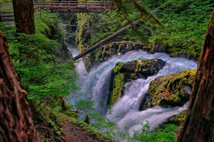 washington, Waterfall, River, Forest, Bridge, Stream HD Wallpaper Desktop Background