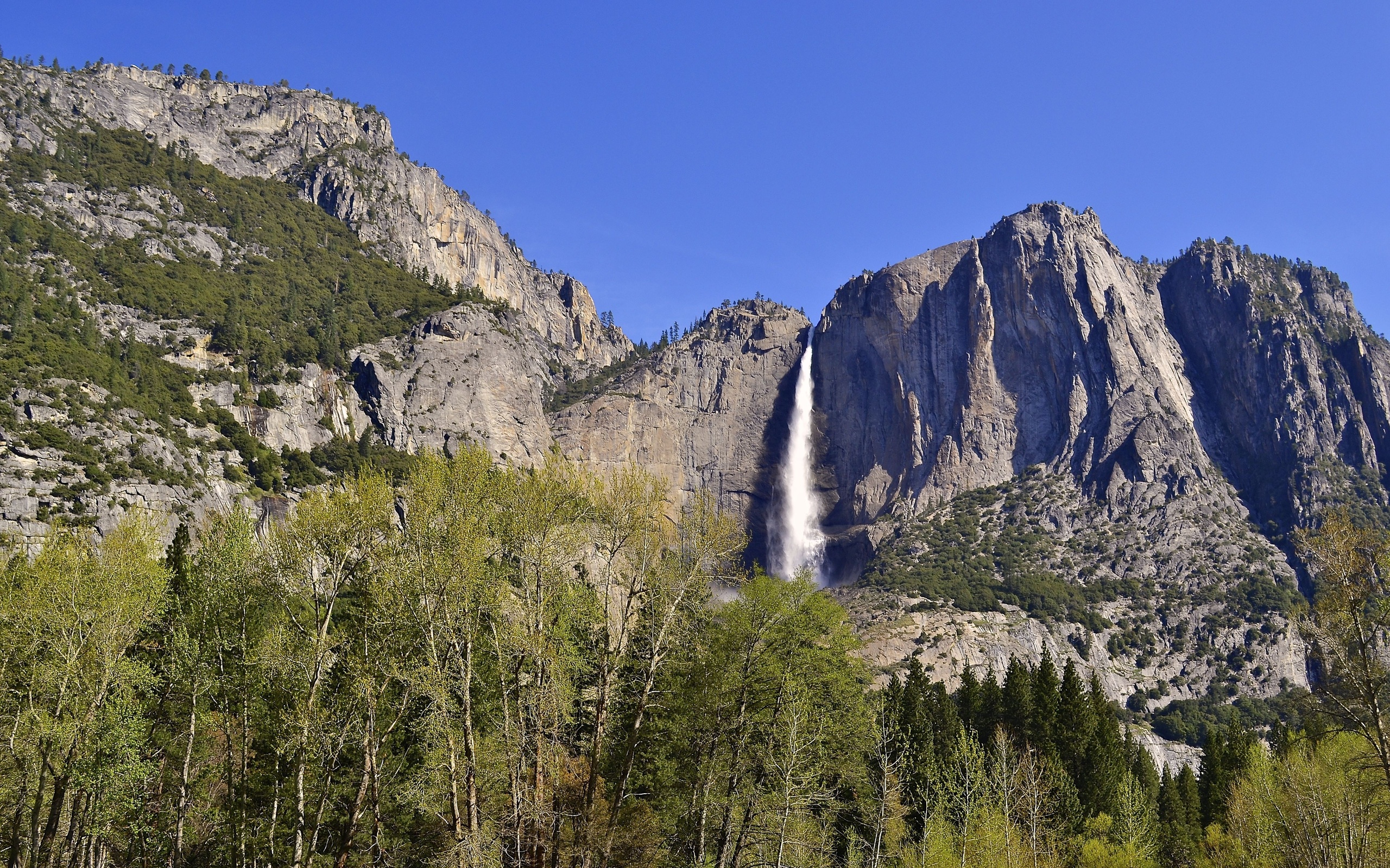 yosemite, National, Park, Waterfall, Forest, Mountains Wallpaper