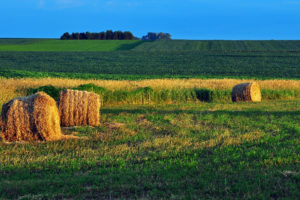 field, Hay, Landscape, Farm, Rustic, Autumn