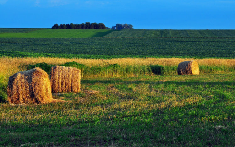 field, Hay, Landscape, Farm, Rustic, Autumn HD Wallpaper Desktop Background
