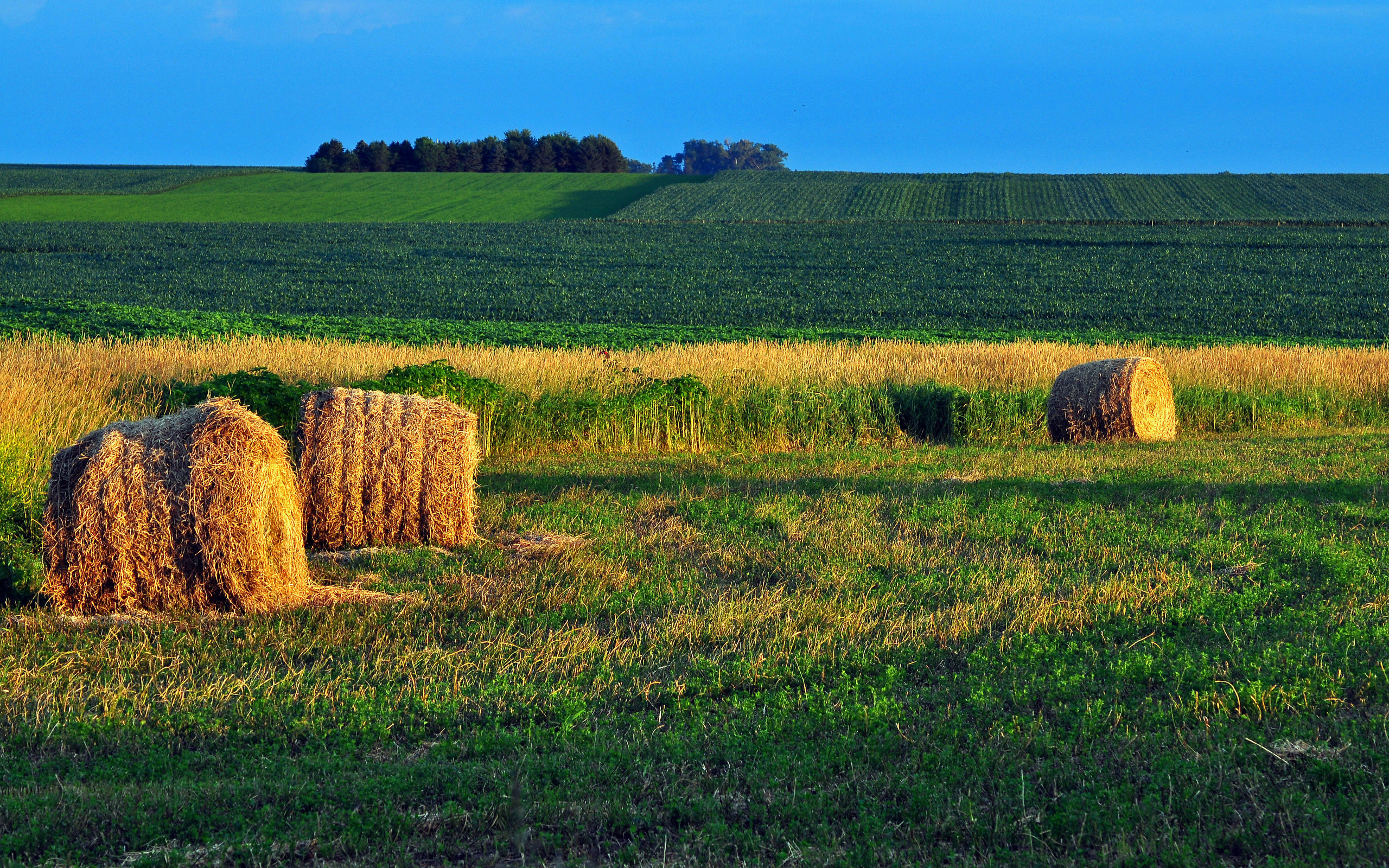 field, Hay, Landscape, Farm, Rustic, Autumn Wallpaper