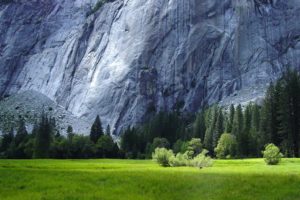 grass, Yosemite