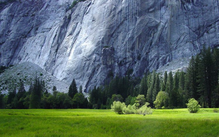 grass, Yosemite HD Wallpaper Desktop Background