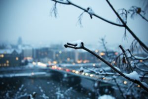 snow, Trees, Cityscapes, Bridges, Buildings