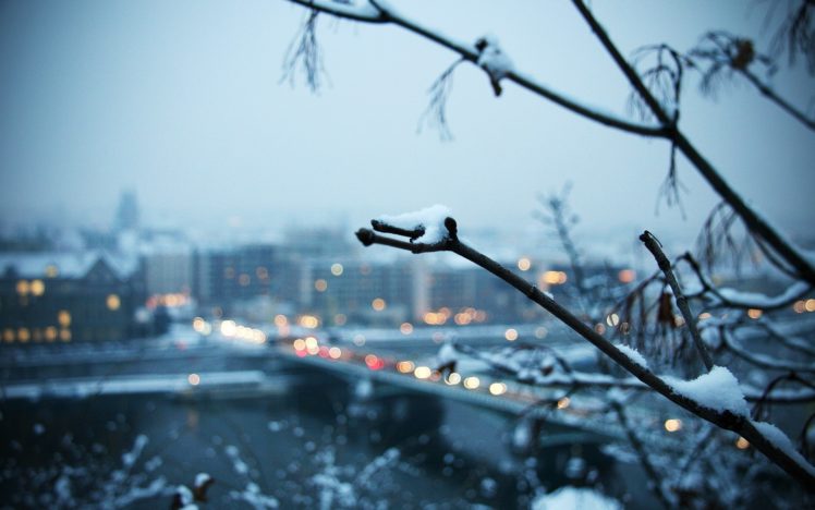 snow, Trees, Cityscapes, Bridges, Buildings HD Wallpaper Desktop Background