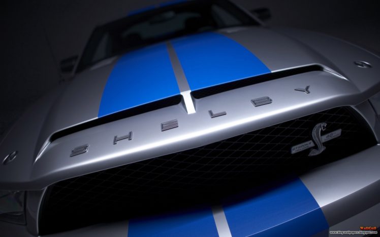cars, Ford, Mustang, Shelby, Gt500kr HD Wallpaper Desktop Background