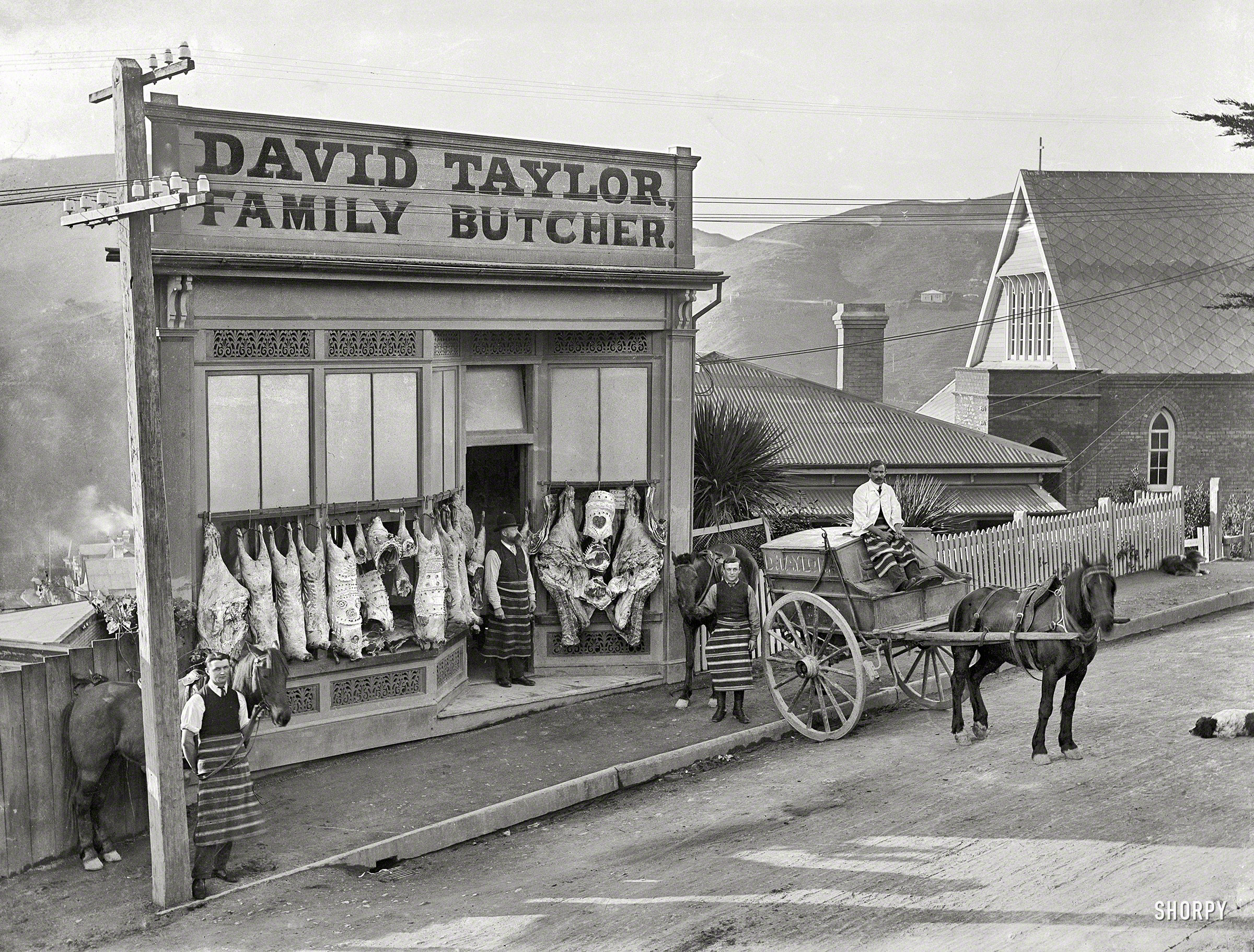 butcher, Carriage, Horse, Building, B w, Vintage Wallpaper