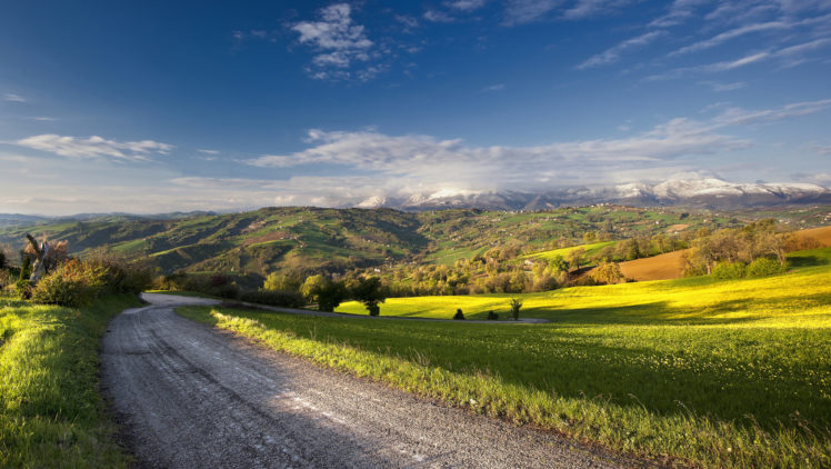 road, Field, Landscape, Summer HD Wallpaper Desktop Background