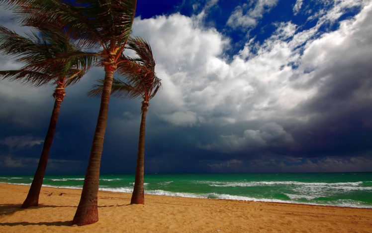 sea, Clouds, Beach, Palm, Trees, Landscape, Ocean HD Wallpaper Desktop Background