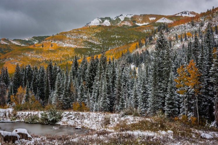 utah, Fall, Mountains, Trees, Water, Snow, Winter, Snow, Autumn HD Wallpaper Desktop Background