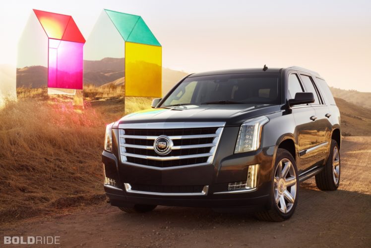 2015, Cadillac, Escalade, Suv, Luxury, Wn HD Wallpaper Desktop Background