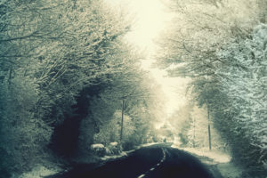 winter, Road