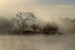 trees, Fog, Lakes