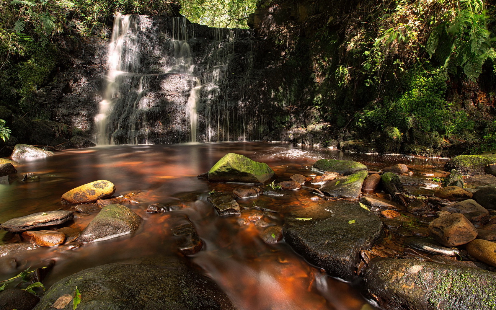 landscape, Forrest, Waterfall Wallpaper