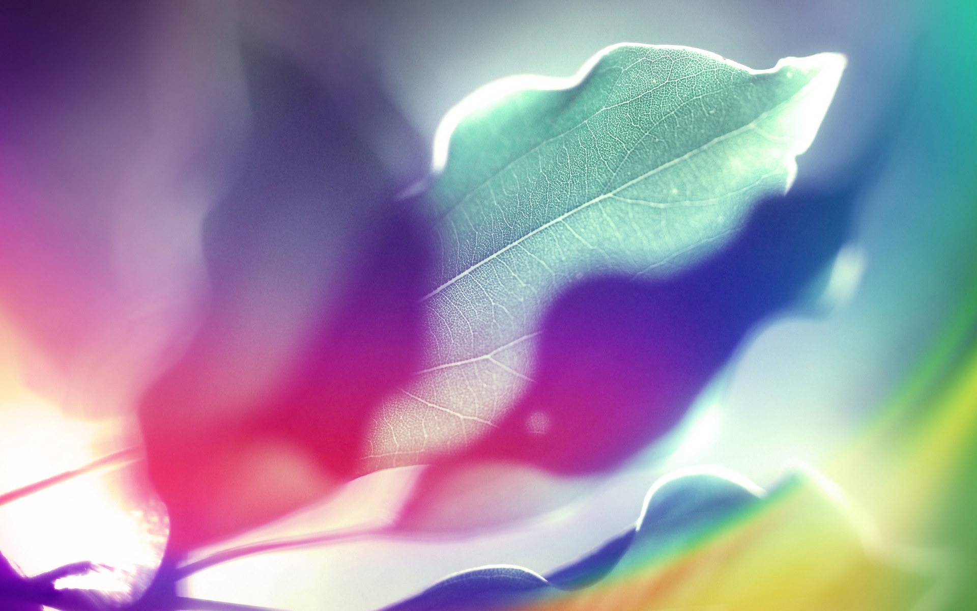 abstract, Multicolor, Leaves, Design, Backgrounds Wallpaper