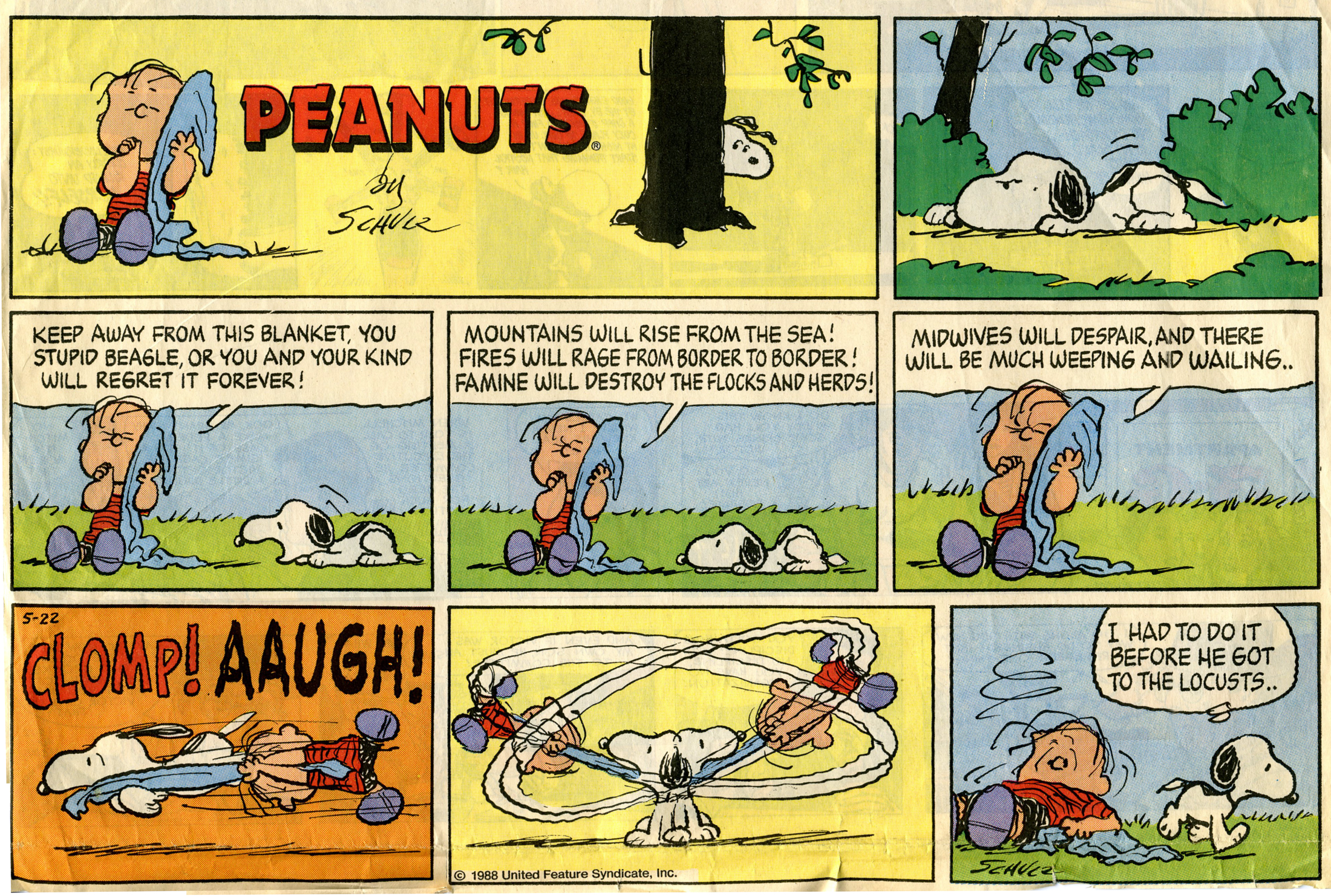 charlie, Brown, Peanuts, Comics, Snoopy Wallpaper