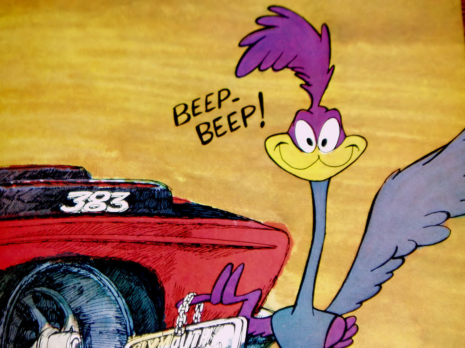 road, Runner, Looney, H, Jpg Wallpaper