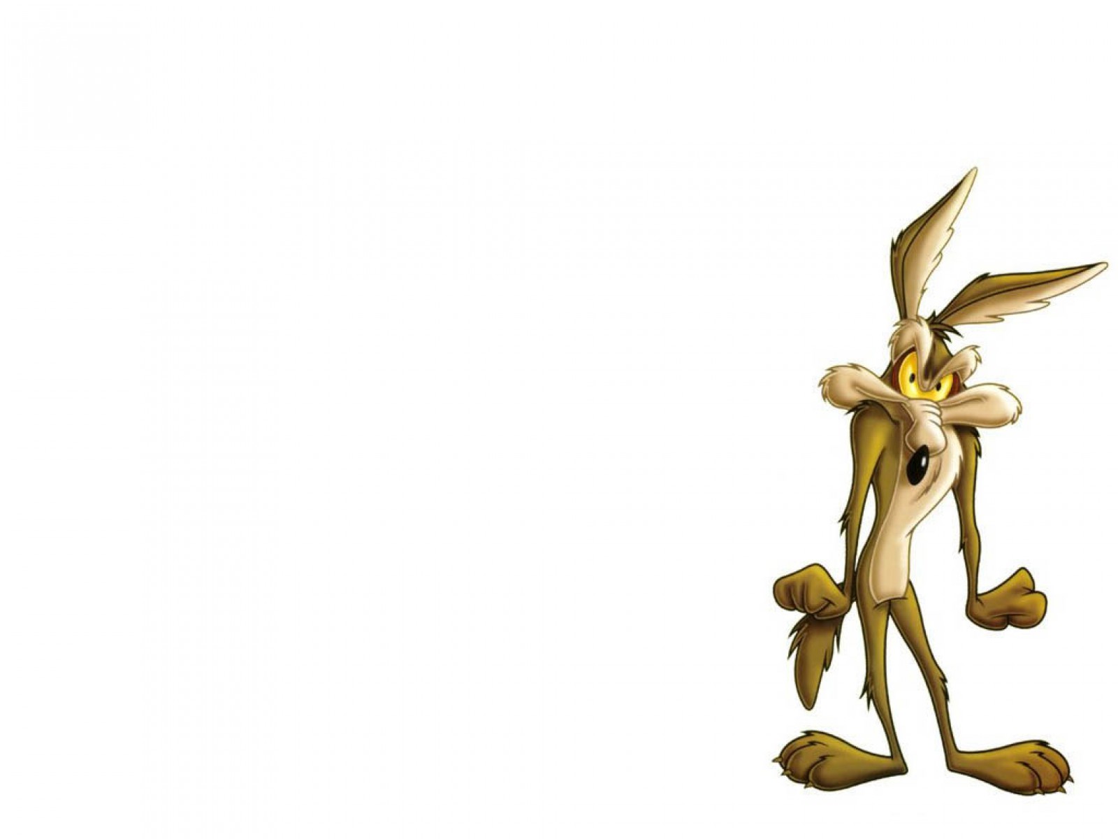 wile, E, Coyote, Looney Wallpaper
