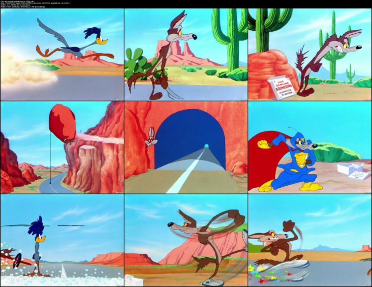 wile, E, Coyote, Looney, Road, Runner HD Wallpaper Desktop Background