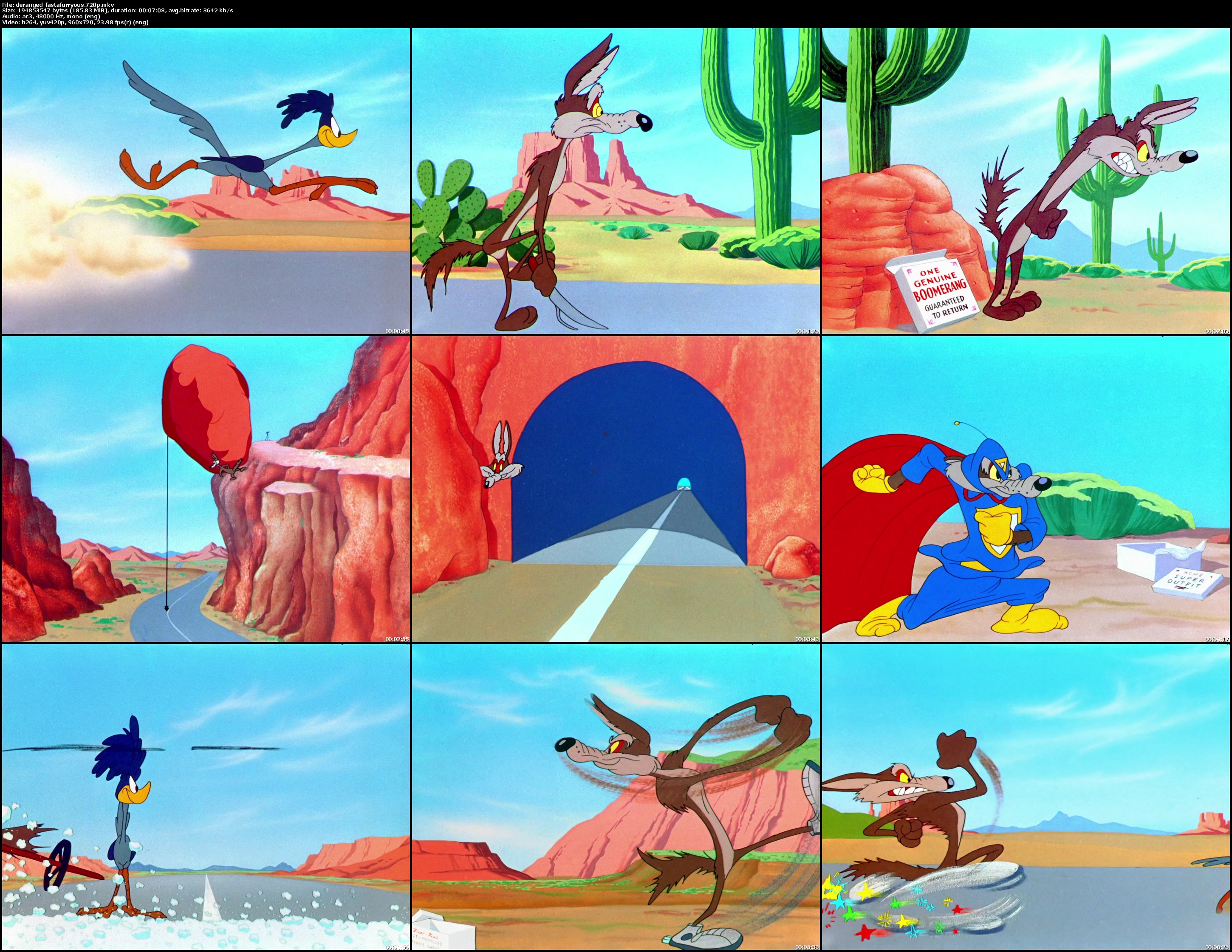 wile, E, Coyote, Looney, Road, Runner Wallpapers HD / Desktop and