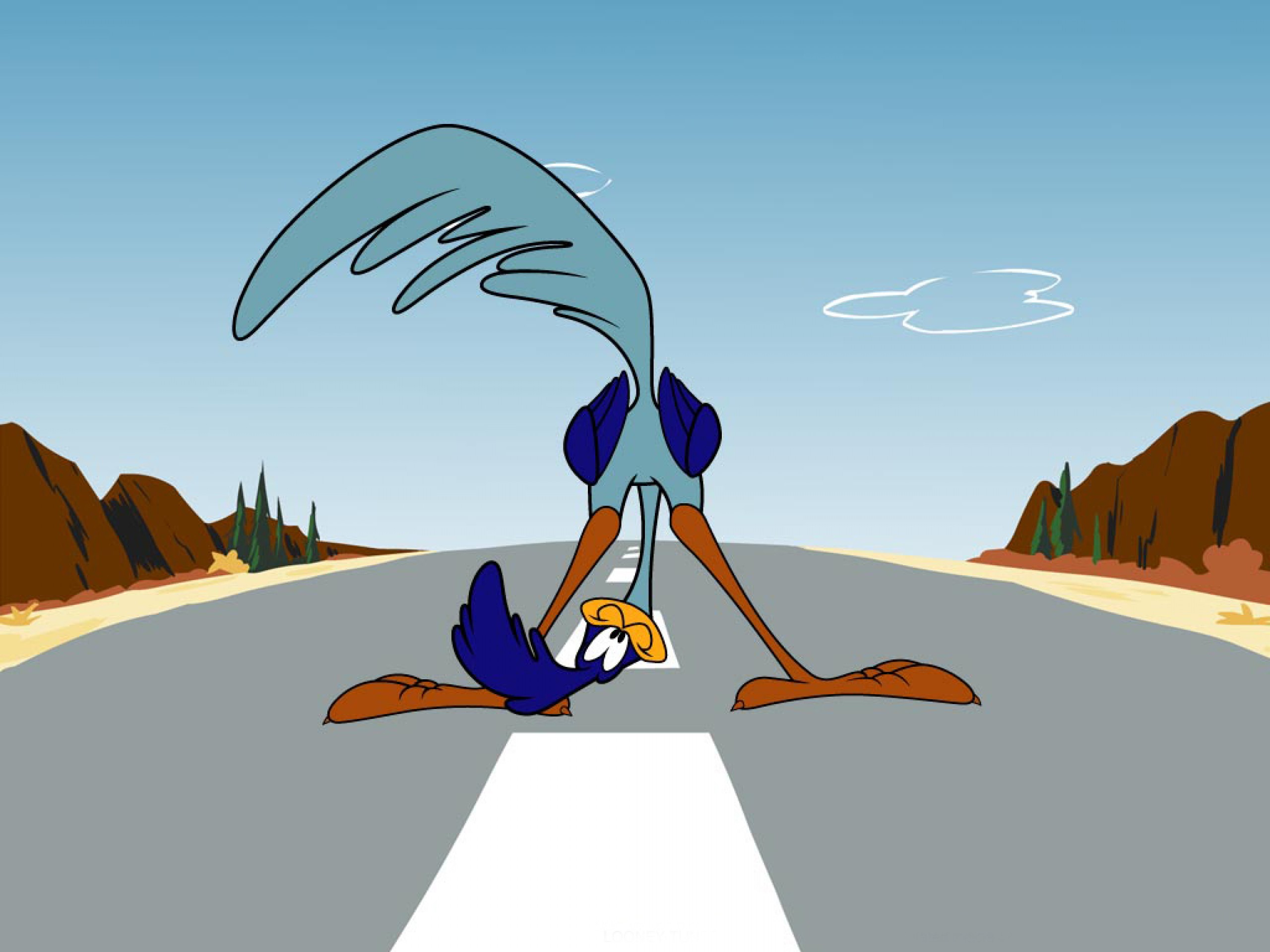 wile, E, Coyote, Road, Runner, Looney Wallpaper