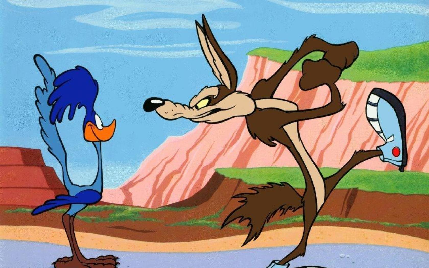 wile, E, Coyote, Road, Runner, Looney, Fw Wallpaper