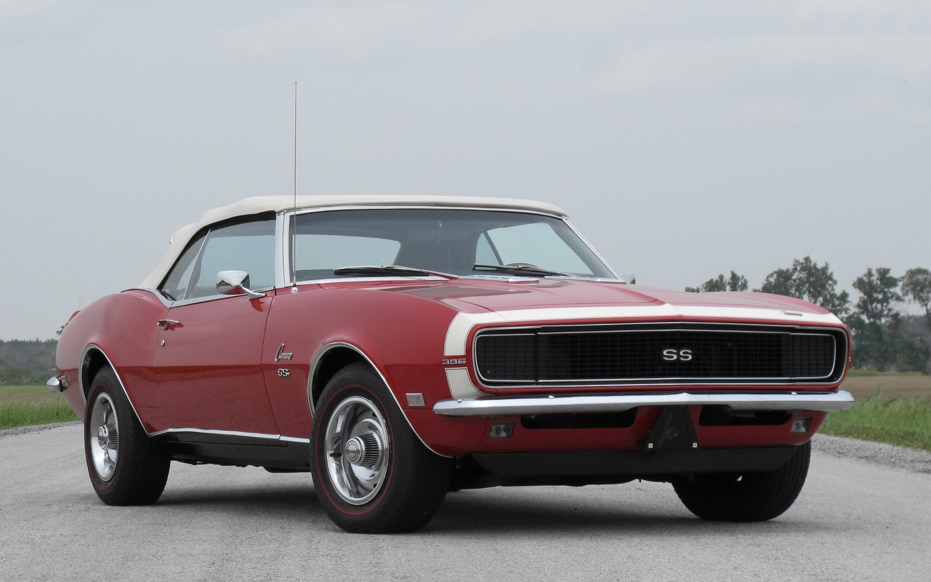 cats, Muscle, Cars, Vehicles, Chevrolet, Camaro, Ss, Sport, Cars Wallpaper