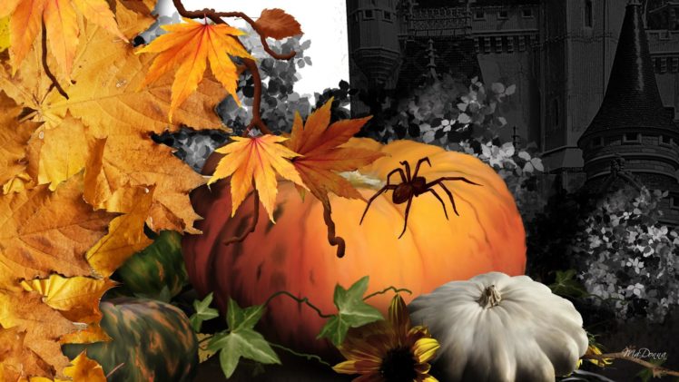 halloween, Gp HD Wallpaper Desktop Background